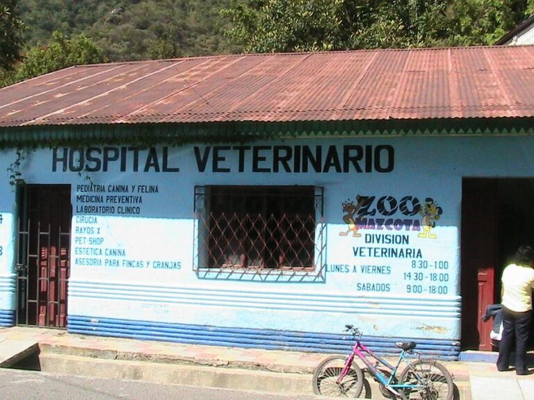 Importanța Medicinii Preventive în Menținerea Sănătății