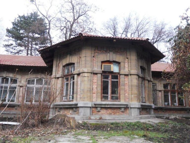 Boli Infecțioase și Epidemii: O Perspectivă Informațională