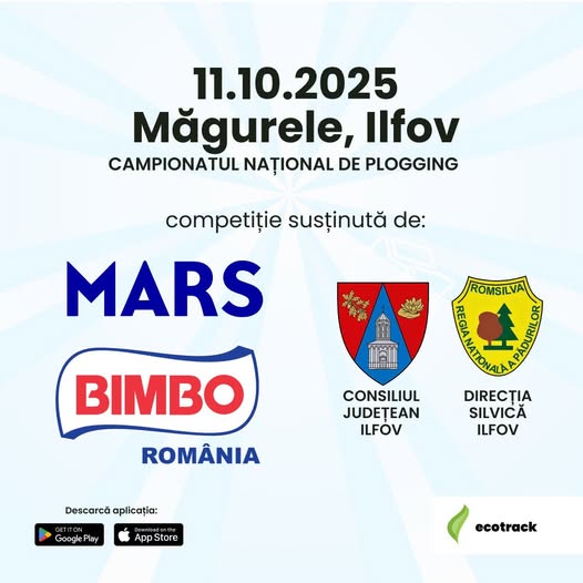 INFO Primăria Orașului Măgurele ·