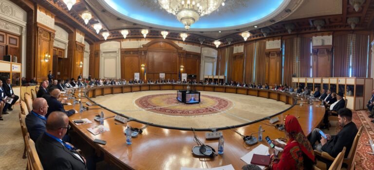 INFO PARLAMENT  Deputat  Nicolae Păun